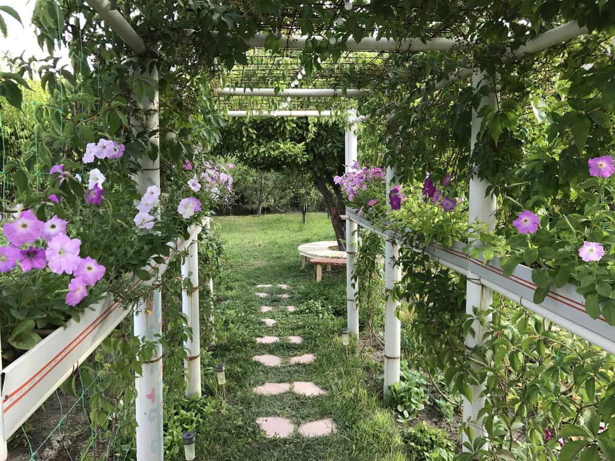 Ashot & Gohar B&B Ch'iva ภายนอก รูปภาพ